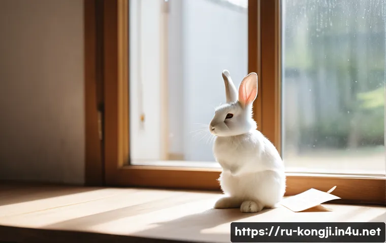 5 способов увлечься историей КонгдзиРэбит и раскрыть ее секреты 4 콩지래빗 스토리 전개 관련 이미지 2